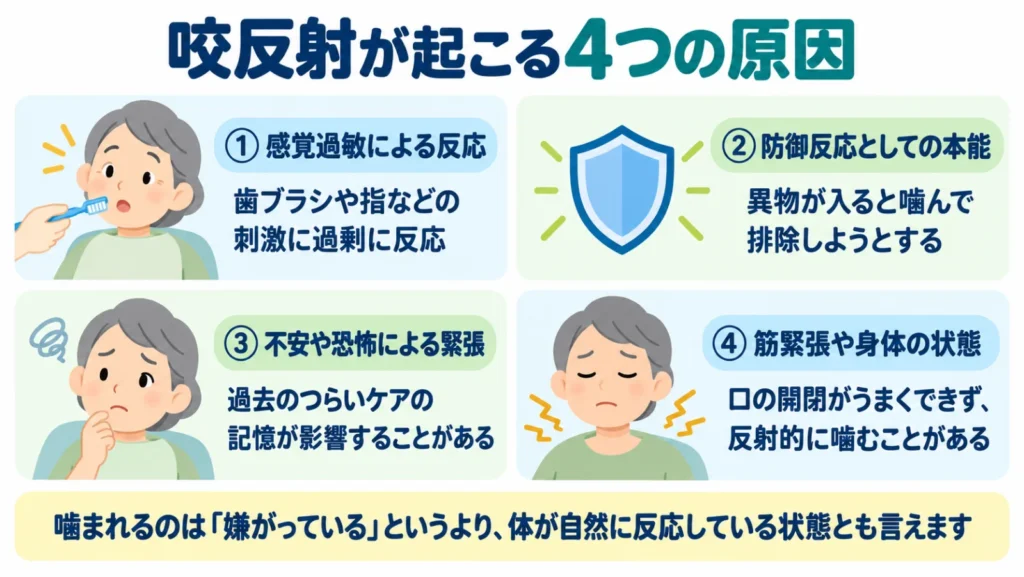 咬反射が起こる4つの原因(感覚過敏、防御反応としての本能、不安や恐怖による緊張、筋緊張や身体の状態)を示した図解